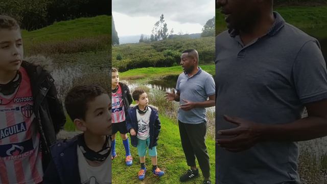 Cultivo De Tomate De Árbol - Fidel Bassa Y Mis Hijos Te Lo Explican смотреть онлайн