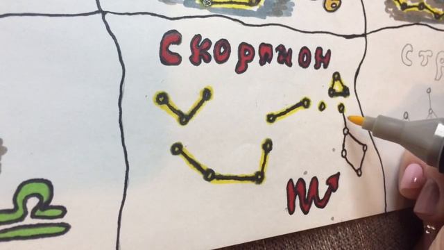 Созвездие скорпион