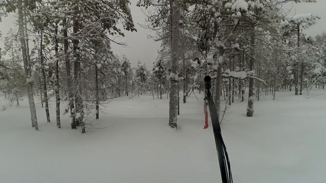 Поездка на озеро Колоденское смотреть онлайн