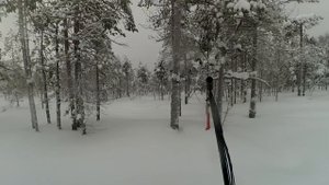 Поездка на озеро Колоденское