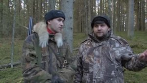 Традиционная русская охота с гончими по чернотропу на зайца.