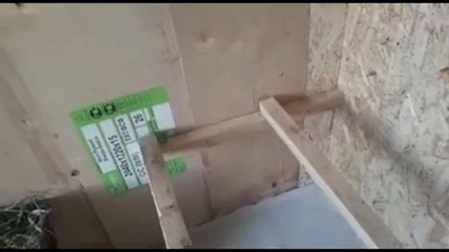 СТРОИТЕЛЬСТВО ТЕПЛОГО КУРЯТНИКА