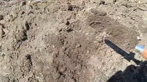 Вертикальная грядка клубники делается легко и быстро