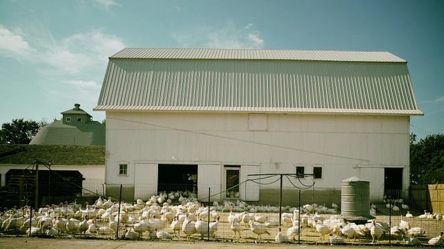 Индейка и бык | Притча со смыслом | Истории для размышлений смотреть онлайн