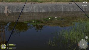 Штрафной пруд русская рыбалка 4