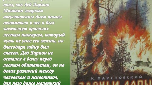 многоцветный мир природы