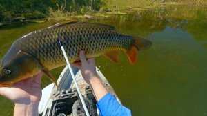 Bowfishing Carp in the Kayak | Lake Glenbawn, NSW