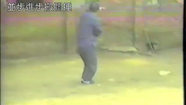 Старое видео по тайцзи: 99 форм (ши / 式) тайцзи цюань (太極拳) учителя Чэнь Цзиньбао (陳金寶).