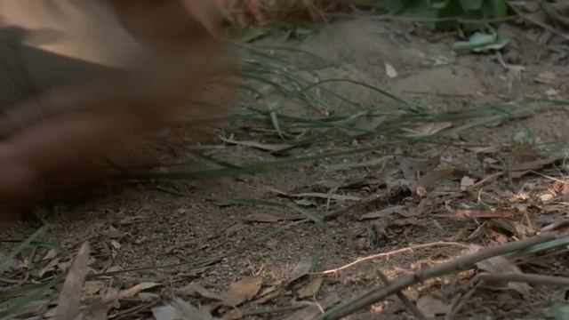 Пятница 13 часть5 [ОБЗОРЧИК] смотреть онлайн