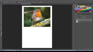 Photoshop   Free Transform Tool