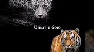 Сравнение ягуара и бенгальского тигра