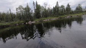 Ловля хариуса на тенкара. Поклевка. Вываживание.