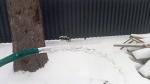 Скважина в колодце . Плывун в колодце .