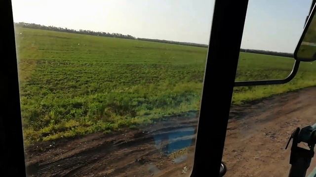 Гербицидная обработка кукурузы  2 гербицида, сорная ужас.
