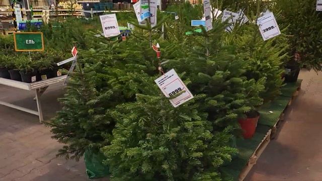 Что стало с ОБИ после того, как его выкупил российский предприниматель #blogprodom смотреть онлайн