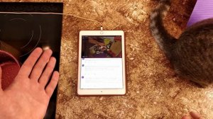 Желе из сока с желатином. Летний десерт. Ответы на вопросы. Как приготовить желе?