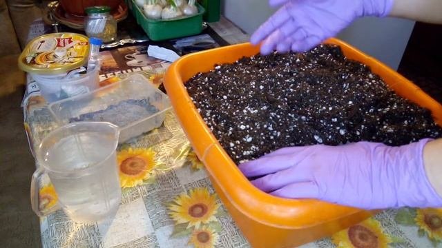 13.СОСТАВЛЯЮ УНИВЕРСАЛЬНЫЙ ГРУНТ ДЛЯ ЦВЕТОВ!ОБРАБОТКА ПОЧВЫ ОТ ВРЕДИТЕЛЕЙ ПЕРЕД ПОСЕВОМ СЕМЯН!ВАЖНО