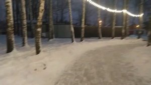 Парк Березовая роща Дмитров. Отдых в Подмосковье.