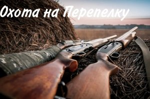 Охота на Перепелку
