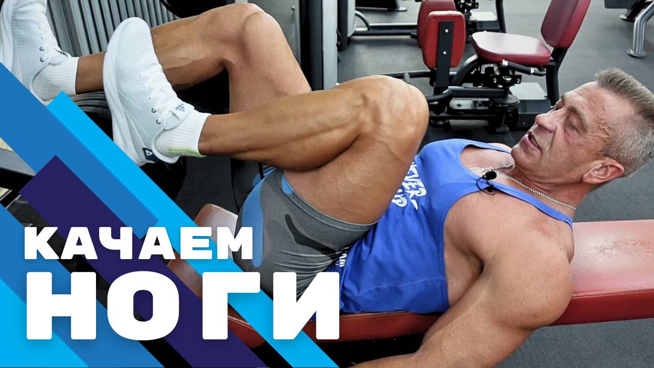 Тренировка • НОГИ • 07.08.24