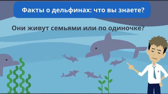 Китоообразные. Урок1. смотреть онлайн