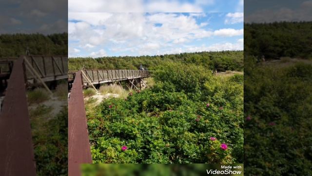 Кафе Витланд и  Авандюна Эфа 17/07/2022