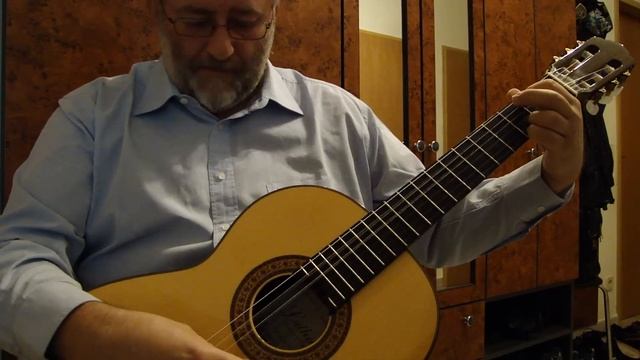 Flageolet Reflections - SUNNYROSE - Improvisation on Spanish Classic Flamenco Accoustic Guitar смотреть онлайн