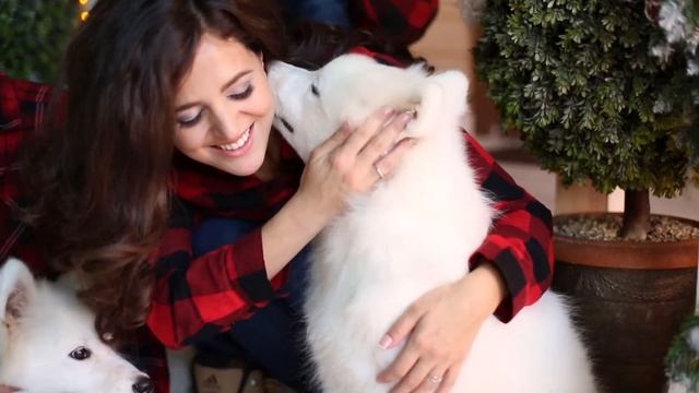 Семейная новогодняя сказка смотреть онлайн