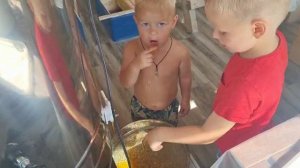 VID-20220809-WA0000.mp4