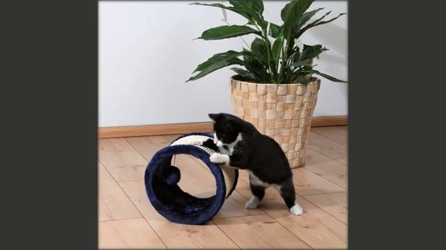 выкройки игрушки кошки смотреть онлайн