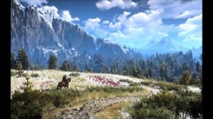 Witcher 3 - 1 hour music of Fields of Ard Skellig