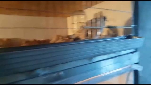 ПОИЛКИ ДЛЯ ПЕРЕПЕЛОВ
