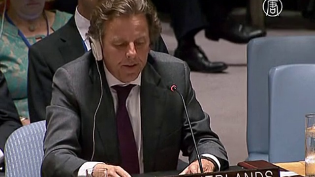 Россия наложила вето на трибунал по сбитому «Боингу» смотреть онлайн