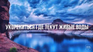 ДЕРЕВО / Lyrics video / Прославление Ачинск (Forerunner Music & Justin Rizz – Tree (Ps. 1)