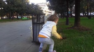 Ивлин гуляет, шишки собирает.