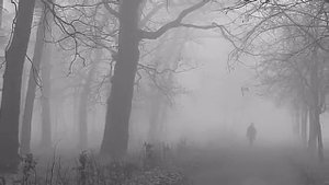 Туманы туманы верните мне маму мальчик