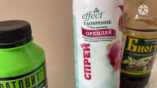 Удобрения для орхидей. Удобрения для обильного цветения орхидей