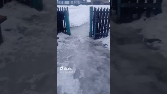 Причуды природы.