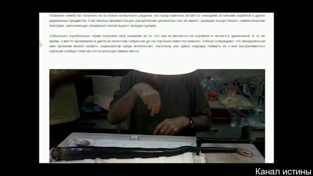 Чёрное море скоро взорвётся предсказание смотреть онлайн