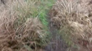 Ловля живца в ноябре раколовкой. Жирные ратаны бонусом. Рыбалка в Беларуси.