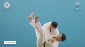 Judo VS Hapkido sparring (technical breakdown) 합기도 合氣道