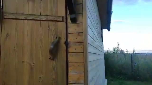 Чем покрасить деревянный дом или баню снаружи.