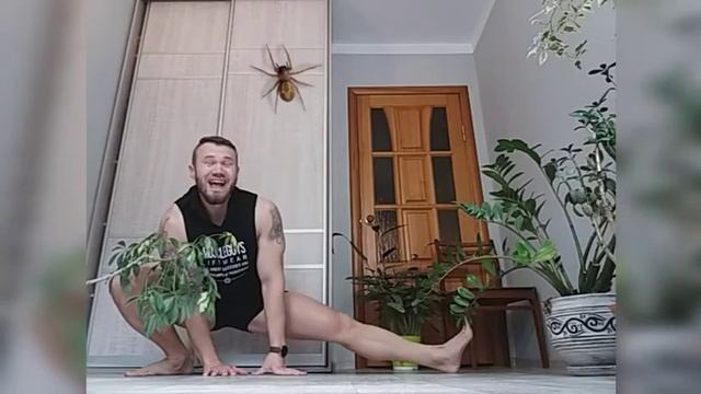 #Тренировкадома  НА НИЗ ТЕЛА  (  Ⅴ  )  и #ЯГОДИЦЫ