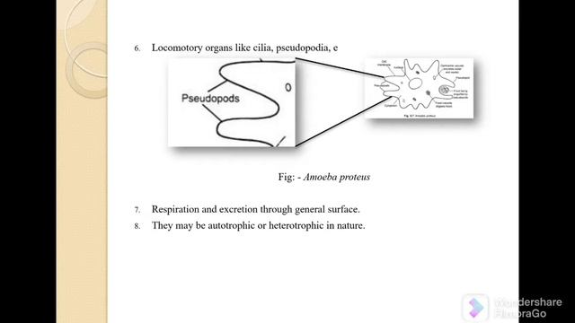 Lec. 1 | Non Chordate | Protista Protozoa Metazoa | Major Paper | Zoology | B.Sc. 1st semester | UG смотреть онлайн