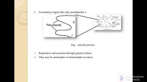 Lec. 1 | Non Chordate | Protista Protozoa Metazoa | Major Paper | Zoology | B.Sc. 1st semester | UG