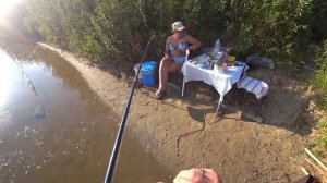 СУДАК НА МАЛЬКА С БЕРЕГА РЫБАЛКА С НОЧЁВКОЙ КОНЕЦ АВГУСТА, ЛЕТО ПРОХОДИТ БЫСТРО р.НЕМАН