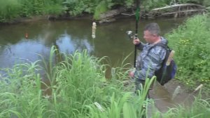 70 Серия Поймал Рыбу Хариус, Наблюдаем за Рыбой Хариус в реке, Удочка Поплавок Тайга