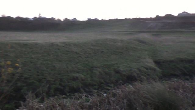 Немного о истории земли Кайнарской и новые экспонаты будущего музея