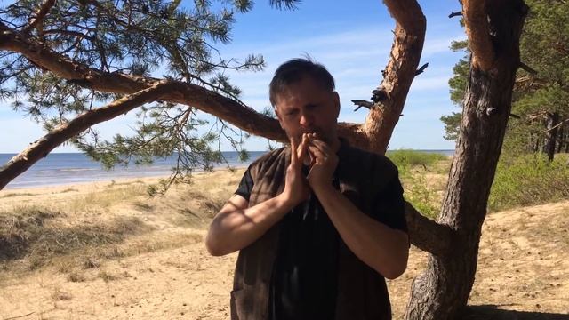 Как играть на керамической птичке-свистульке