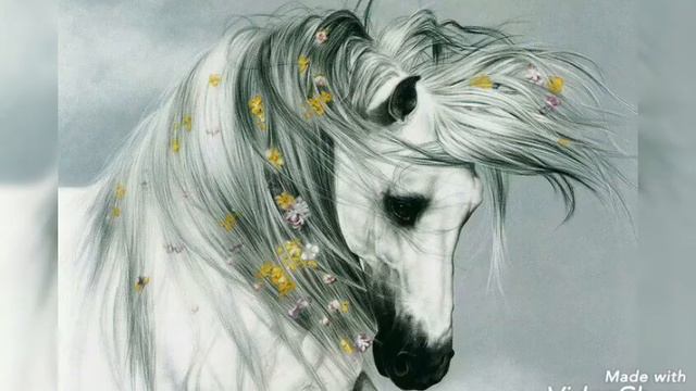 ЛОШАДИ - КРАСИВЫЕ, ДОБРЫЕ СУЩЕСТВА! 😊👍#лошади#музыка #хорошеенастроение #позитив смотреть онлайн